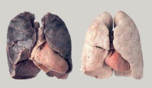 i polmoni di un fumatore e quelli di un non fumatore